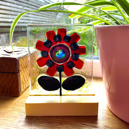 Red fused glass flower suncatcher with an iridescent blue-green centre in a pine base