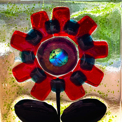 Front view of a red fused glass flower with dark blue-green accents and dark leaves